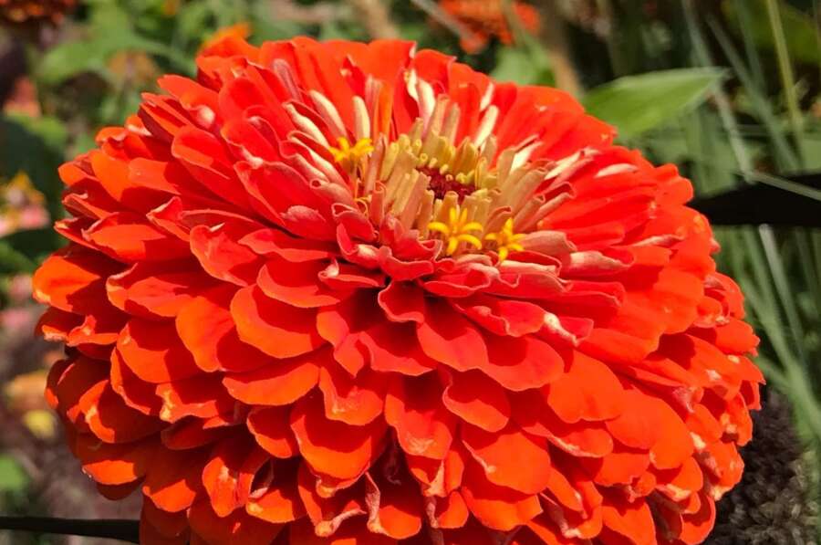 Intuition og Kreativitet