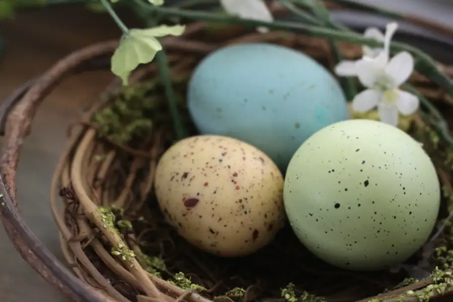 Vårfest, spiring og kraft