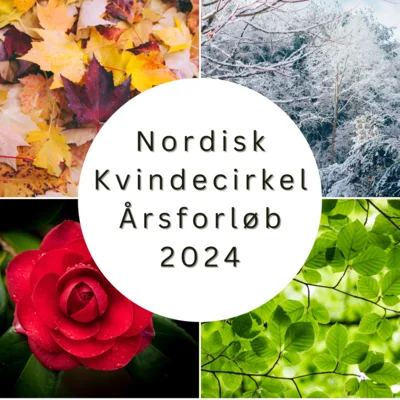 Nordisk Kvindecirkel Årsforløb